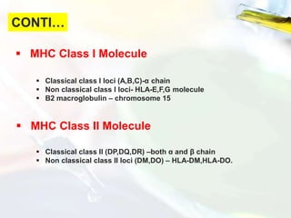  MHC Class I Molecule
 Classical class I loci (A,B,C)-α chain
 Non classical class I loci- HLA-E,F,G molecule
 Β2 macroglobulin – chromosome 15
 MHC Class II Molecule
 Classical class II (DP,DQ,DR) –both α and β chain
 Non classical class II loci (DM,DO) – HLA-DM,HLA-DO.
CONTI…
 