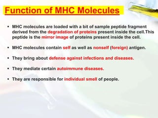 Function of MHC Molecules
 MHC molecules are loaded with a bit of sample peptide fragment
derived from the degradation of proteins present inside the cell.This
peptide is the mirror image of proteins present inside the cell.
 MHC molecules contain self as well as nonself (foreign) antigen.
 They bring about defense against infections and diseases.
 They mediate certain autoimmune diseases.
 They are responsible for individual smell of people.
 