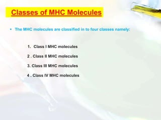 Classes of MHC Molecules
 The MHC molecules are classified in to four classes namely:
1. Class I MHC molecules
2 . Class II MHC molecules
3. Class III MHC molecules
4 . Class IV MHC molecules
 