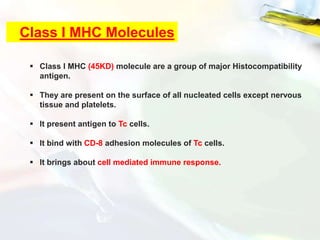 Class I MHC Molecules
 Class I MHC (45KD) molecule are a group of major Histocompatibility
antigen.
 They are present on the surface of all nucleated cells except nervous
tissue and platelets.
 It present antigen to Tc cells.
 It bind with CD-8 adhesion molecules of Tc cells.
 It brings about cell mediated immune response.
 