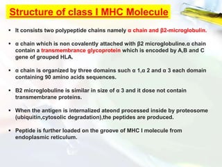Structure of class I MHC Molecule
 It consists two polypeptide chains namely α chain and β2-microglobulin.
 α chain which is non covalently attached with β2 microglobuline.α chain
contain a transmembrance glycoprotein which is encoded by A,B and C
gene of grouped HLA.
 α chain is organized by three domains such α 1,α 2 and α 3 each domain
containing 90 amino acids sequences.
 Β2 microglobuline is similar in size of α 3 and it dose not contain
transmembrane proteins.
 When the antigen is internalized ateond processed inside by proteosome
(ubiquitin,cytosolic degradation),the peptides are produced.
 Peptide is further loaded on the groove of MHC I molecule from
endoplasmic reticulum.
 