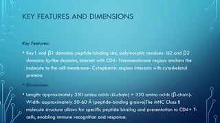 Major Histocompatibility complex immune system and immune technology | PPTX
