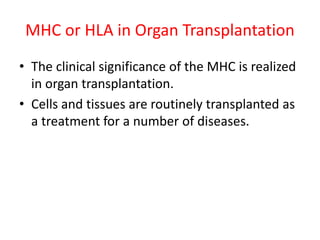 MHC or HLA in Organ Transplantation
• The clinical significance of the MHC is realized
in organ transplantation.
• Cells and tissues are routinely transplanted as
a treatment for a number of diseases.
 