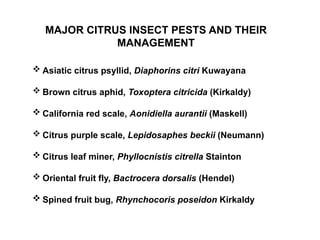 MAJOR INSECT PESTS INITIATING CITRUS DECLINE PROBLEM IN NEPAL.ppt