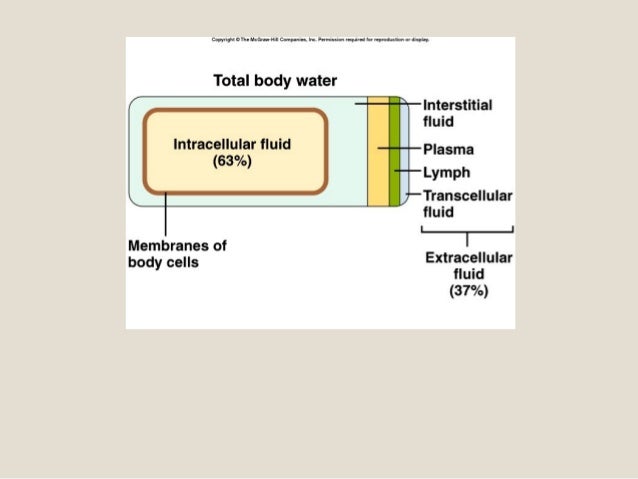 fluid compartments 3 cellular Major intra and electrolytes extra