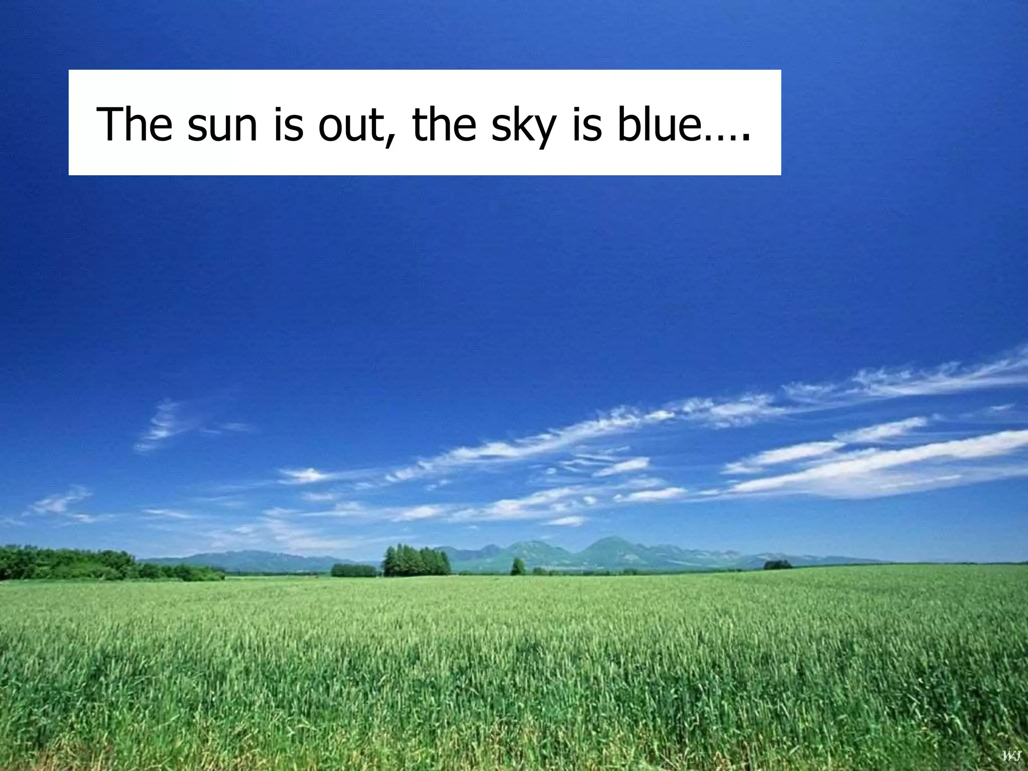 The sun is out, the sky is blue…. 
 