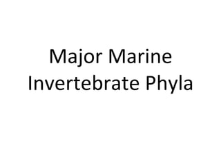 Major Marine Invertebrate Phyla 