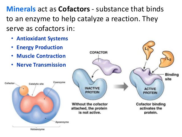 major minerals