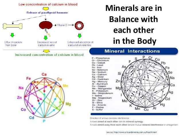 major minerals