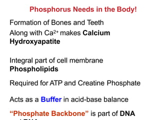 Phosphorus Needs in the Body!
Formation of Bones and Teeth
Along with Ca2+ makes Calcium
Hydroxyapatite
Integral part of cell membrane
Phospholipids
Required for ATP and Creatine Phosphate
Acts as a Buffer in acid-base balance
“Phosphate Backbone” is part of DNA
 
