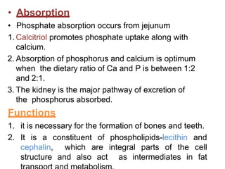 • Absorption
• Phosphate absorption occurs from jejunum
1. Calcitriol promotes phosphate uptake along with
calcium.
2. Absorption of phosphorus and calcium is optimum
when the dietary ratio of Ca and P is between 1:2
and 2:1.
3. The kidney is the major pathway of excretion of
the phosphorus absorbed.
Functions
1. it is necessary for the formation of bones and teeth.
2. It is a constituent of phospholipids-lecithin and
cephalin, which are integral parts of the cell
structure and also act as intermediates in fat
 