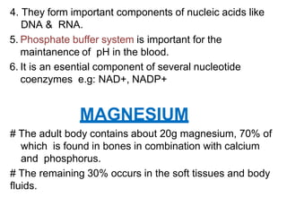4. They form important components of nucleic acids like
DNA & RNA.
5. Phosphate buffer system is important for the
maintanence of pH in the blood.
6. It is an esential component of several nucleotide
coenzymes e.g: NAD+, NADP+
MAGNESIUM
# The adult body contains about 20g magnesium, 70% of
which is found in bones in combination with calcium
and phosphorus.
# The remaining 30% occurs in the soft tissues and body
fluids.
 