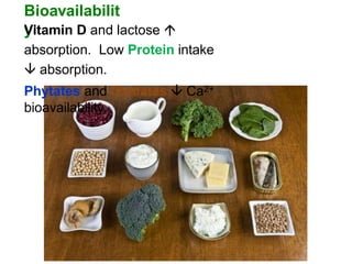 Bioavailabilit
y:
Vitamin D and lactose 
absorption. Low Protein intake
 absorption.
Phytates and Oxalates  Ca2+
bioavailability.
 