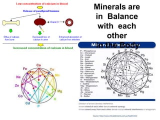 Minerals are
in Balance
with each
other
in the Body
 