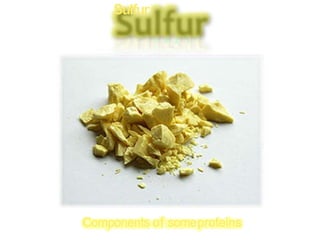 Sulfur
Components of someproteins
 