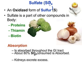 2
–
Sulfate (SO4
)
• An Oxidized form of Sulfur (S)
• Sulfate is a part of other compounds in
Body:
– Proteins
– Thiamin
– Biotin
Absorption
– Is absorbed throughout the GI tract
– About 80% SO4consumed is Absorbed.
2-
– Kidneys excrete excess.
 