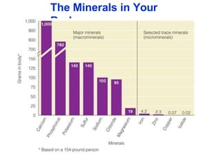 The Minerals in Your
Body
 