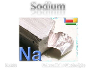Bones Extracellular Electrolyte
 