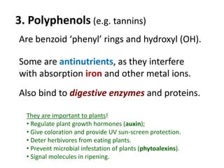 3. Polyphenols (e.g. tannins)
Are benzoid ‘phenyl’ rings and hydroxyl (OH).
They are important to plants!
• Regulate plant growth hormones (auxin);
• Give coloration and provide UV sun-screen protection.
• Deter herbivores from eating plants.
• Prevent microbial infestation of plants (phytoalexins).
• Signal molecules in ripening.
Some are antinutrients, as they interfere
with absorption iron and other metal ions.
Also bind to digestive enzymes and proteins.
 