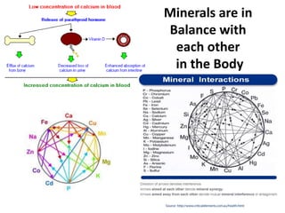 Minerals are in
Balance with
each other
in the Body
 