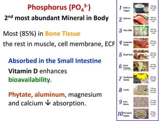 Phosphorus (PO4
3-)
2nd most abundant Mineral in Body
Most (85%) in Bone Tissue
the rest in muscle, cell membrane, ECF
Absorbed in the Small Intestine
Vitamin D enhances
bioavailability.
Phytate, aluminum, magnesium
and calcium  absorption.
 