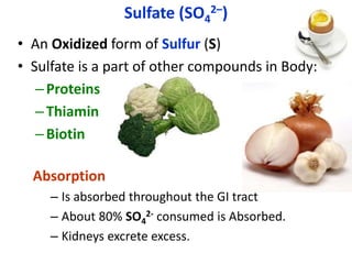 Sulfate (SO4
2–)
• An Oxidized form of Sulfur (S)
• Sulfate is a part of other compounds in Body:
–Proteins
–Thiamin
–Biotin
Absorption
– Is absorbed throughout the GI tract
– About 80% SO4
2- consumed is Absorbed.
– Kidneys excrete excess.
 