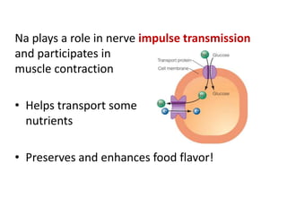 Na plays a role in nerve impulse transmission
and participates in
muscle contraction
• Helps transport some
nutrients
• Preserves and enhances food flavor!
 