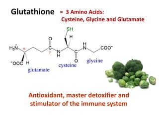 Antioxidant, master detoxifier and
stimulator of the immune system
Glutathione = 3 Amino Acids:
Cysteine, Glycine and Glutamate
 