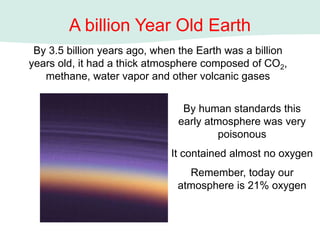A billion Year Old Earth
By 3.5 billion years ago, when the Earth was a billion
years old, it had a thick atmosphere composed of CO2,
methane, water vapor and other volcanic gases
By human standards this
early atmosphere was very
poisonous
It contained almost no oxygen
Remember, today our
atmosphere is 21% oxygen
 