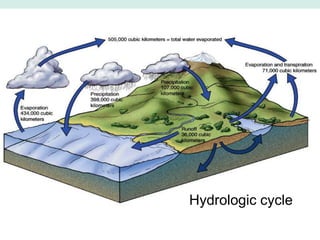 Hydrologic cycle
 