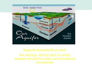 Soils: meters thick
Supports terrestrial life on earth.
The interface, the first point of contact,
between the earth’s surface and the external
environment.
 