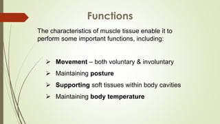 The characteristics of muscle tissue enable it to
perform some important functions, including:
 Movement – both voluntary & involuntary
 Maintaining posture
 Supporting soft tissues within body cavities
 Maintaining body temperature
Functions
 
