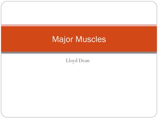 Major Muscles
Lloyd Dean

 