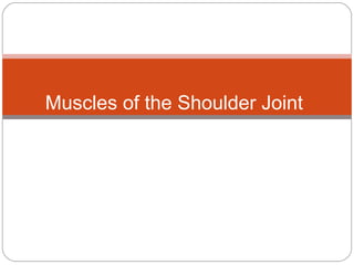 Muscles of the Shoulder Joint

 