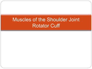 Muscles of the Shoulder Joint
Rotator Cuff

 