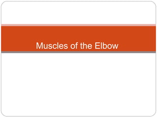 Muscles of the Elbow

 