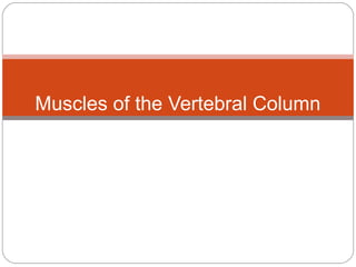 Muscles of the Vertebral Column

 
