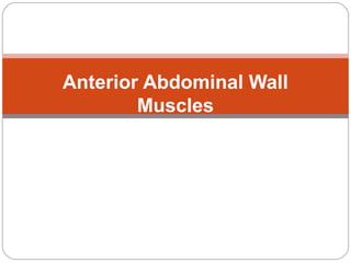 Anterior Abdominal Wall
Muscles

 