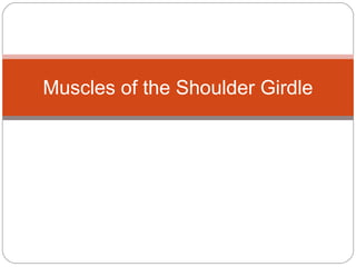 Muscles of the Shoulder Girdle

 