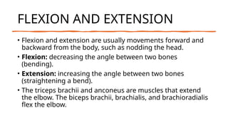 Extension Muscles Example MAJOR MUSCLES IN THE HUMAN BODY.pptx for ´premedicine students | PPTX