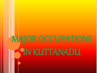 MAJOR OCCUPATIONS 
IN KUTTANADU 
 