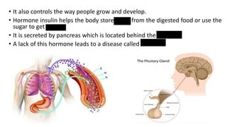 • It also controls the way people grow and develop.
• Hormone insulin helps the body store sugar from the digested food or use the
sugar to get energy.
• It is secreted by pancreas which is located behind the stomach.
• A lack of this hormone leads to a disease called diabetes.
 