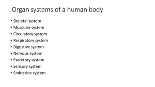 Organ systems of a human body
• Skeletal system
• Muscular system
• Circulatory system
• Respiratory system
• Digestive system
• Nervous system
• Excretory system
• Sensory system
• Endocrine system
 