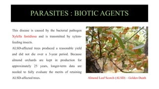 Agents of plants diseases.pptx