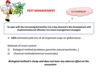 Top Guard Insect Control For Rice Breeding for Major Insect Pests Resistance in Rice | PDF