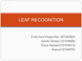 Final Year Project By: JIIT,NOIDA
Aarshi Taneja (10104666)
Divya Gautam(10104673)
Nupur(10104676)
LEAF RECOGNITION
 