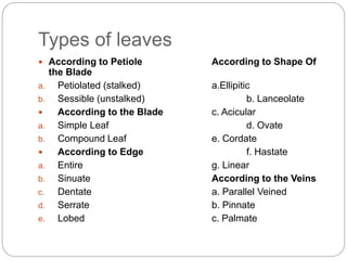 Types of leaves
 According to Petiole According to Shape Of
the Blade
a. Petiolated (stalked) a.Ellipitic
b. Sessible (unstalked) b. Lanceolate
 According to the Blade c. Acicular
a. Simple Leaf d. Ovate
b. Compound Leaf e. Cordate
 According to Edge f. Hastate
a. Entire g. Linear
b. Sinuate According to the Veins
c. Dentate a. Parallel Veined
d. Serrate b. Pinnate
e. Lobed c. Palmate
 