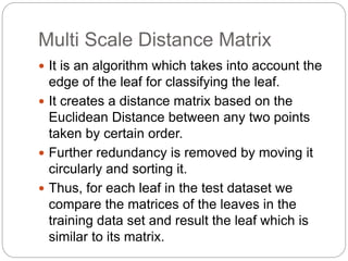 Multi Scale Distance Matrix
 It is an algorithm which takes into account the
edge of the leaf for classifying the leaf.
 It creates a distance matrix based on the
Euclidean Distance between any two points
taken by certain order.
 Further redundancy is removed by moving it
circularly and sorting it.
 Thus, for each leaf in the test dataset we
compare the matrices of the leaves in the
training data set and result the leaf which is
similar to its matrix.
 
