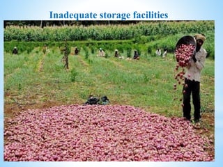 Inadequate Storage Major problems in agriculture | PPTX