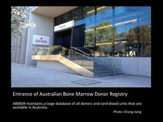 Entrance	
  of	
  Australian	
  Bone	
  Marrow	
  Donor	
  Registry	
  
	
  
ABMDR	
  maintains	
  a	
  large	
  database	
  of	
  all	
  donors	
  and	
  cord	
  blood	
  units	
  that	
  are	
  
available	
  in	
  Australia.	
  	
  
            	
  	
  	
  	
  	
  	
  	
  	
  	
  	
  	
  	
  	
  	
  	
  	
  	
  	
  	
  	
  	
  	
  	
  	
  	
  	
  	
  	
  	
  	
  	
  	
  	
  	
  	
  	
  	
  	
  	
  	
  	
  	
  	
  	
  	
  	
  	
  	
  	
  	
  	
  	
  	
  	
  	
  	
  	
  	
  	
  	
  	
  	
  	
  	
  	
  	
  	
  	
  	
  	
  	
  	
  	
  	
  	
  	
  	
  	
  	
  	
  	
  	
  	
  	
  	
  	
  	
  	
  	
  	
  	
  	
  	
  	
  	
  	
  	
  	
  	
  	
  	
  	
  	
  	
  	
  	
  	
  	
  	
  	
  	
  	
  	
  	
  Photo:	
  Chang	
  Jiang	
  
 